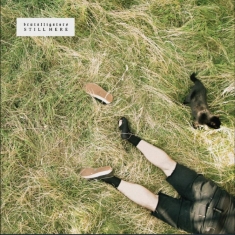 Brutalligators - Still Here
