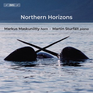 Markus Maskuniitty - Northern Horizons