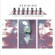 Nick D?Virgilio - Rewiring Genesis - A Tribute To The