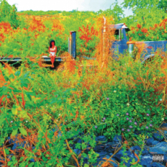 Jhené Aiko - Trip (Rsd Vinyl)