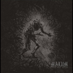 Malum - From The Voids