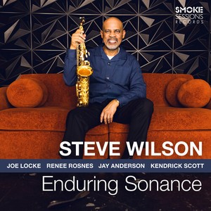 Wilson Steve - Enduring Sonance
