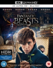 Movie - Fantastic Beasts And Where To Find Them 4K