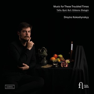 Dmytro Kokoshynskyy - Music For These Troubled Times