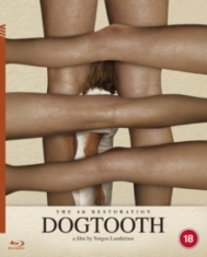 Movie - Dogtooth