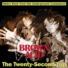 Various Artists - Brown Acid - The Twenty-Second Trip