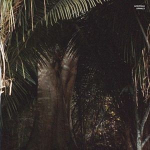 Acid Pauli - Urwald
