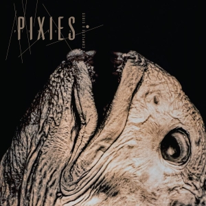 Pixies - Complete B Sides: 1988-97 (Ltd. Cry