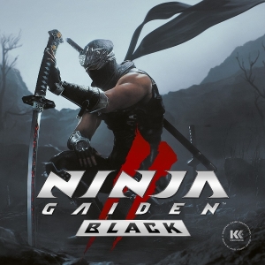 V/A - Ninja Gaiden Ii Black