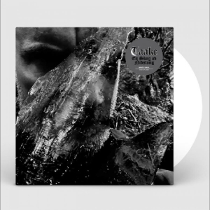 Taake - En Skog Av Nidstang