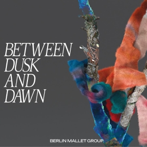 Taiko Saito - Between Dusk And Dawn