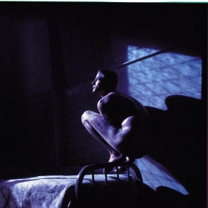 Peter Gabriel - Birdy - Music From The Film