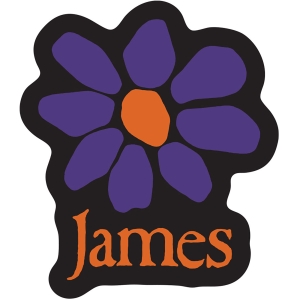 James - Orange Logo Purple Daisy Sticker