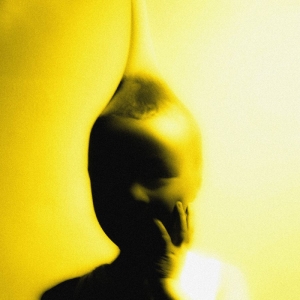 Lemonsuckr - Life Is A Heist