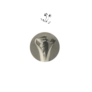 Returning Sweetness (Eversines) - Longevity Eyebrow