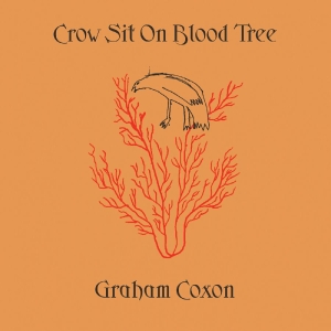 Graham Coxon - Crow Sit On Blood Tree