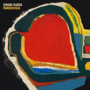 Druid Fluids - Pareidolia (Rainbow Splatter, Trans