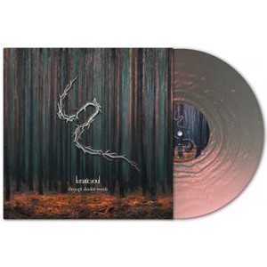 Lunatic Soul - Through Shaded Woods