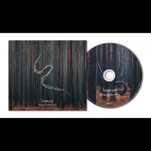 Lunatic Soul - Through Shaded Woods
