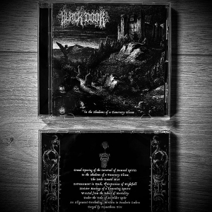 Black Door - In The Shadows Of A Funerary Gleam