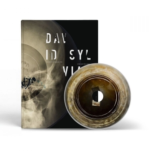 David Sylvian - Distance Between The Killer And The