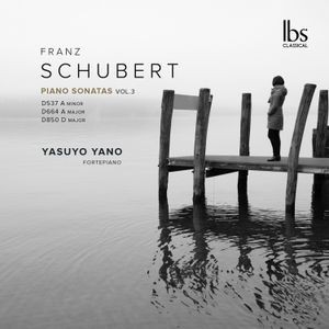 Franz Schubert - Piano Sonatas Vol. 3