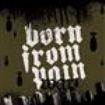 Born From Pain - War ryhmässä CD @ Bengans Skivbutik AB (579642)
