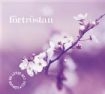 Daniell David & Douglas Mc Combs - Sycamore ryhmässä CD @ Bengans Skivbutik AB (580534)