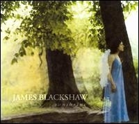 Blackshaw James - Sunshrine ryhmässä CD / Pop @ Bengans Skivbutik AB (596224)