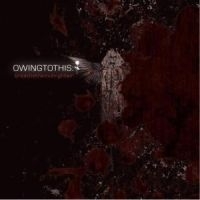 Owing To This - Breathe The Midnight Air ryhmässä Övrigt /  @ Bengans Skivbutik AB (601474)