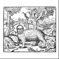 Envelopes - Demon ryhmässä Övrigt /  @ Bengans Skivbutik AB (612053)