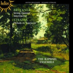 Bruckner - String Quartet