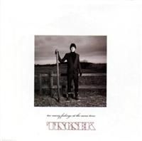Tingsek - Too Many Feelings At The Same Time ryhmässä CD @ Bengans Skivbutik AB (668236)