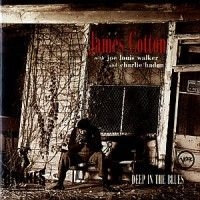 Cotton James - Deep In The Blues ryhmässä CD @ Bengans Skivbutik AB (677338)