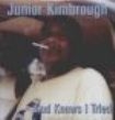 Kimbrough Junior - God Knows I Tried ryhmässä VINYYLI / Jazz/Blues @ Bengans Skivbutik AB (944228)
