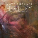 Matt Sorum's Fierce Joy - Stratosphere ryhmässä Övrigt /  @ Bengans Skivbutik AB (994954)