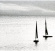 Angeli P. & Salis A. - Ma.Ri Angeli P. & Salis A. - Ma.Ri