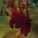 History Of Colour Tv - When Shapes Of Spilt Blood Spelt Lo History Of Colour Tv - When Shapes Of Spilt Blood Spelt Lo