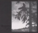 Empyrium - Where At Night The Wood Grouse Play Empyrium - Where At Night The Wood Grouse Play