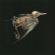 Hval Jenny & Susanna - Meshes Of Voice Hval Jenny & Susanna - Meshes Of Voice
