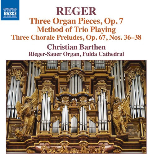 Reger - Organ Works Vol 16