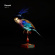 Raresh - Fabric 78 : Raresh - Fabric 78 :