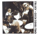 Corea Chick/Trio - Trilogy Corea Chick/Trio - Trilogy