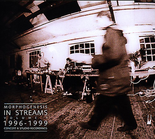 Morphogenesis - In Streams [volume 2]