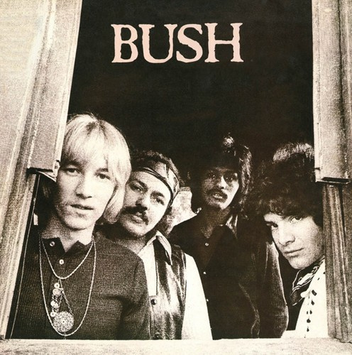 Bush - Bush
