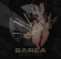Sarea - This Is Not Goodbye Sarea - This Is Not Goodbye