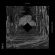 Selva - Life Habitual Selva - Life Habitual