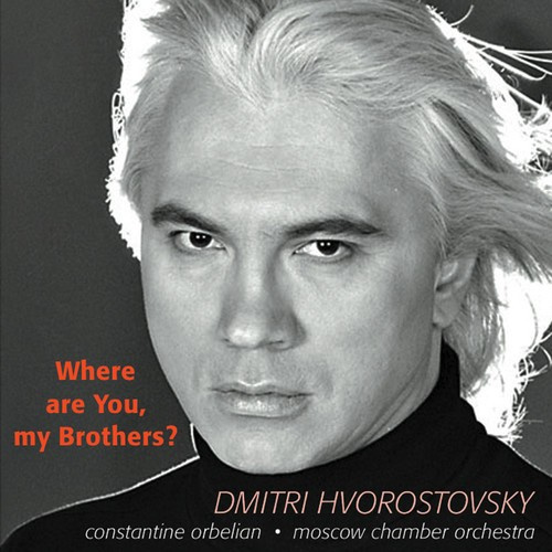 Various - Where Are You My Brothers