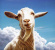 Charles - Barnacled: Charles Charles - Barnacled: Charles