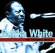 White Bukka - Panama Limited White Bukka - Panama Limited
